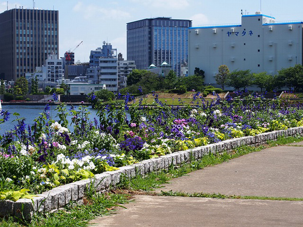 中央区立石川島公園