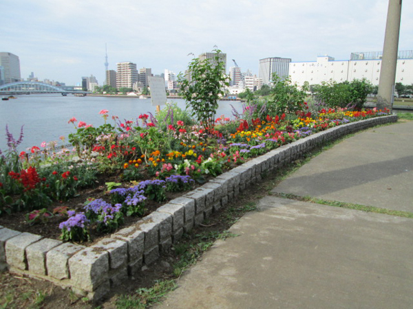 中央区立石川島公園