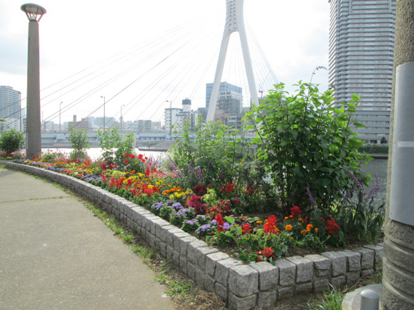 中央区立石川島公園