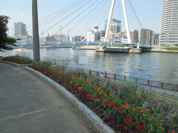 中央区立石川島公園