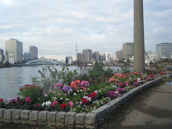 中央区立石川島公園