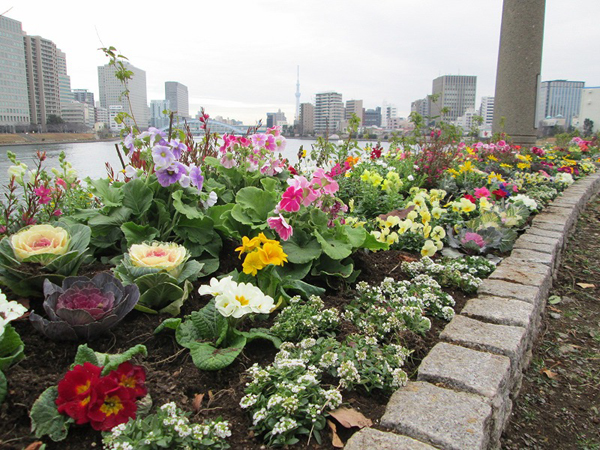 中央区立石川島公園