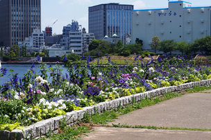 中央区立石川島公園