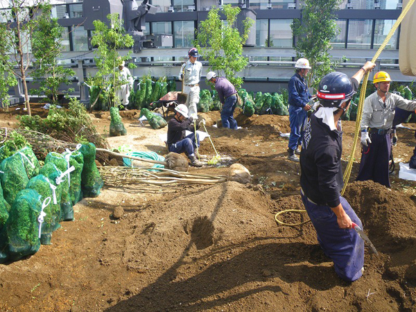 オフィスビル 屋上緑化工事