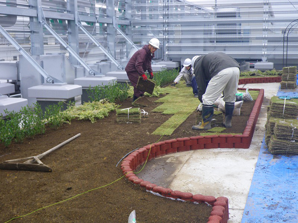 医療センター 屋上緑化工事