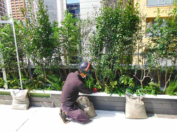 ラウンジカフェ テラス植栽工事