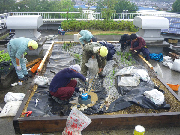 技術研究所 屋上ビオトープ創設工事