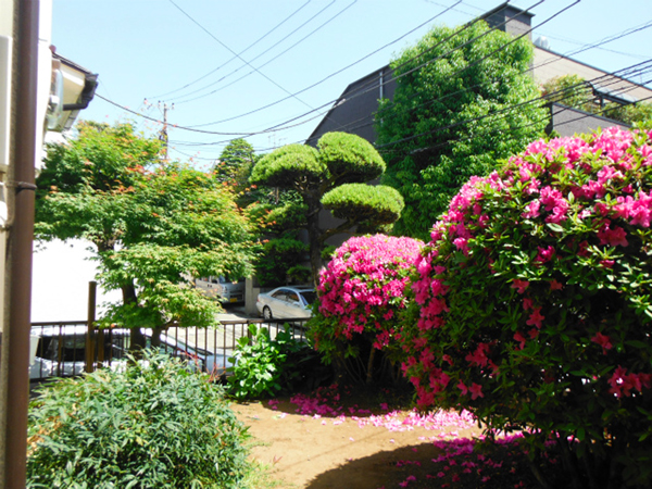 個人邸 お庭の植木のお手入れ