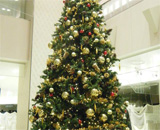 13 荻窪 商業施設 クリスマス 装飾