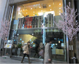 14 銀座 木村屋 總本店 桜 造木 装飾