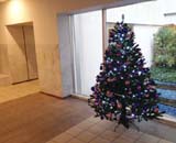 大田区 マンション エントランス クリスマス 装飾