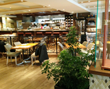 東京 銀座 オープン シンガポール カフェ レストラン 観葉植物 設置