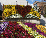 東京タワー 壁面 花壇 バレンタインデー ホワイトデー デザイン