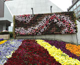 15 東京タワー 壁面 花壇