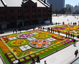 横浜 赤レンガ倉庫 赤レンガFLOWER GARDEN 2015 フラワーカーペット 草花 丹羽英之