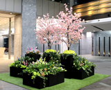 15 新宿マインズタワー 桜 春 装飾