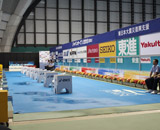 ジャパンオープン 2015 水泳 大会 ビクトリーブーケ ムーンダスト