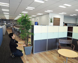 日本橋 医療系 プロモーション オフィス 観葉植物 設置