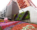 15 東京タワー 塔脚 壁面 花壇