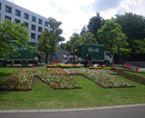 埼玉県 和光市 学校 花壇 草花 花文字