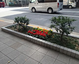 中央区 花壇 花咲く街角 マリーゴールド サルビア