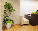 15 武蔵小金井 オフィス 観葉植物
