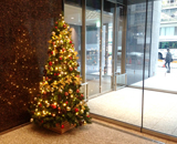東京建物 日本橋ビル オフィス エントランス クリスマスツリー 設置