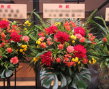 赤坂 135ＴＡＶＥＲＮ　お祝い花 取りまとめ 草花 プランター