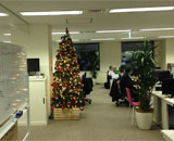株式会社ウフル オフィス レンタル 観葉植物 クリスマスツリー