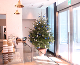 サラベス 東京 クリスマスツリー 装飾 設置