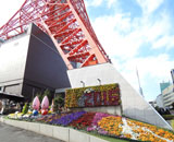 16 東京タワー 壁面 花壇 お正月