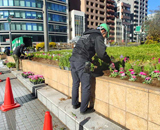 中央区 築地川銀座 公園 お花 植替え 作業