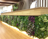 16 新宿 アイランドタワー クリニック 造花 壁面 装飾 観葉植物