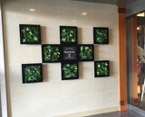 ホテル ホップイン レストラン 壁面パネル グリーン 造花 装飾