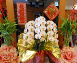 16 兵庫県 尼崎市 ホテルホップイン 中国 春節 旧正月 装飾