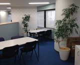 大阪市 オフィス 建材メーカー 観葉植物 設置