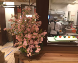 大阪 市内 千惣 菜の花