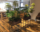 東京 青山 GLOCAL CAFE グローカルカフェ 観葉植物 レンタル 設置