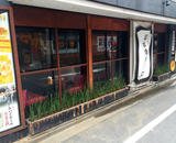 餃子の名店 日本橋焼餃子 浜松町店 植栽 植替え