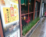 餃子の名店 日本橋焼餃子 浜松町店 植栽 植替え