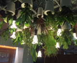 16 ウフル スカイプランター 新 オフィス 観葉植物 レンタル