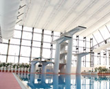 16 国民体育大会 岩手県 水泳 競技大会 植栽 装飾