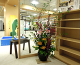 16 銀座 6丁目 京都シルク 観葉植物 レンタル 生花 装飾