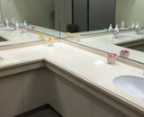 16 品川 企業ビル 女性 トイレ プリザーブドフラワー リース