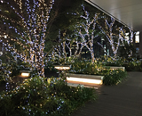 東京スクエアガーデン ウィンター イルミネーション 2016