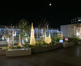 16 荻窪 タウンセブン クリスマス 装飾 デザイン