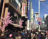 17 銀座木村屋 桜装飾 桜