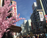 17 銀座木村屋 桜装飾 桜