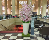 17 中央区 銀行 エントランス 桜装飾 ミニアレンジメント