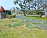 17 立川市 昭島市 国営昭和記念公園 プランター